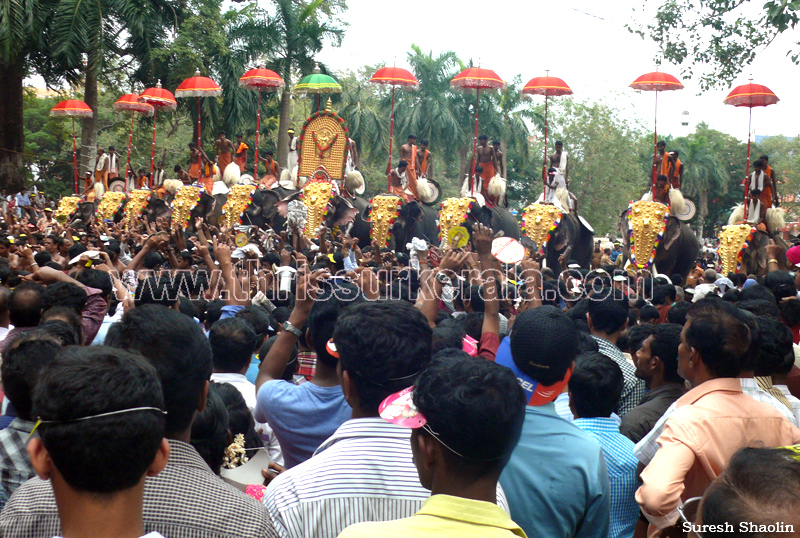 thrissur-pooram-2011- (96)